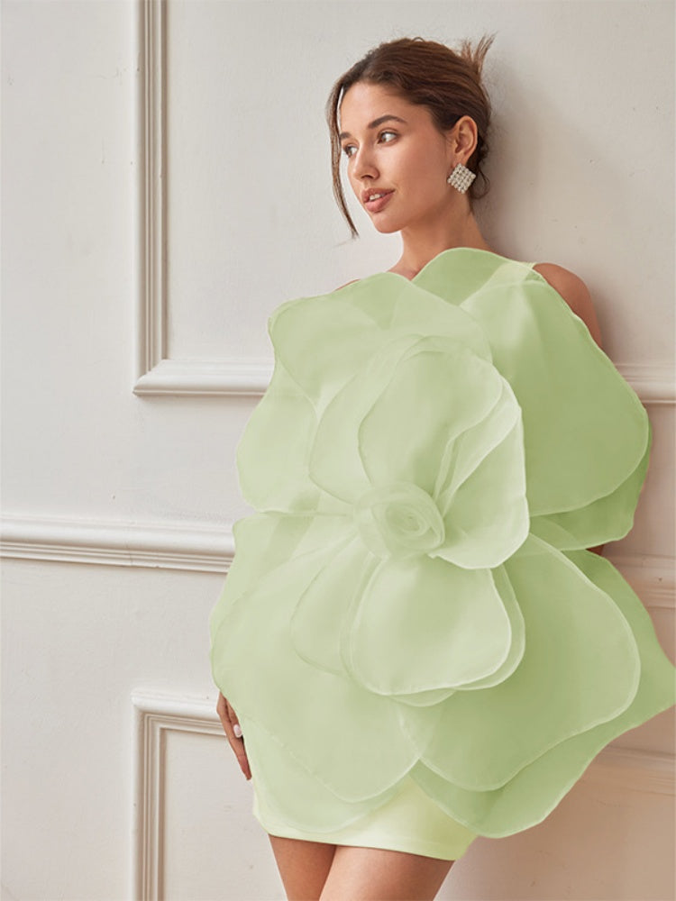 Classic Designed Dress