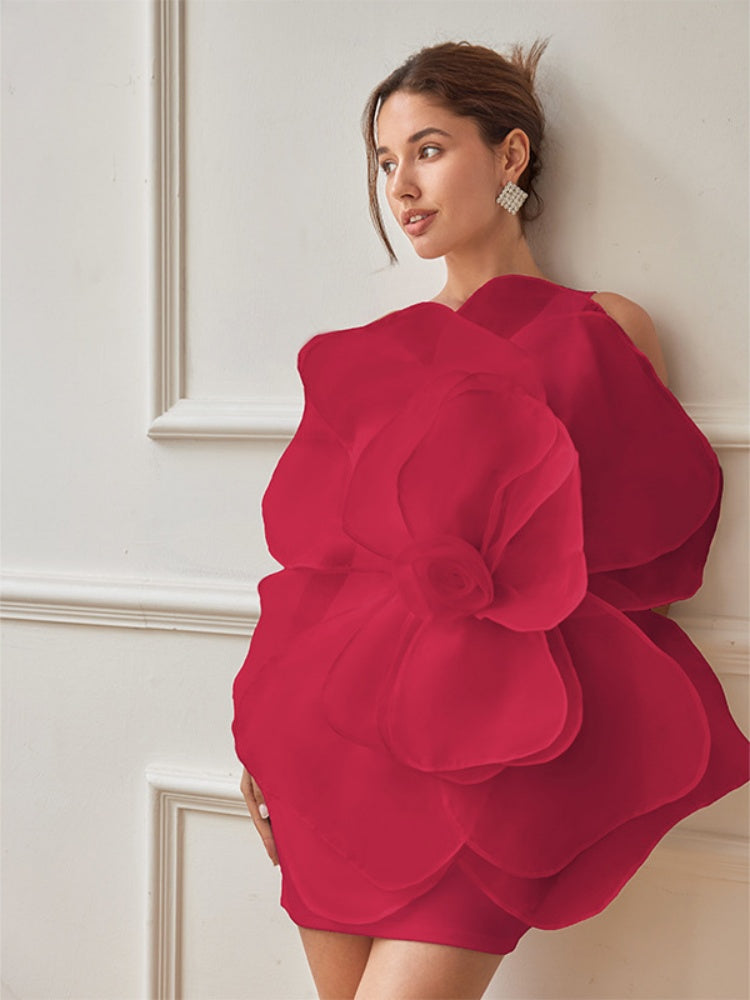Classic Designed Dress