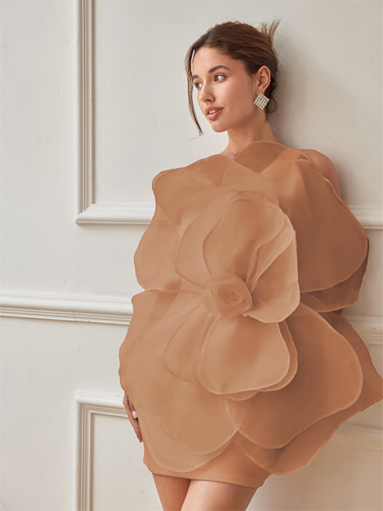 Classic Designed Dress