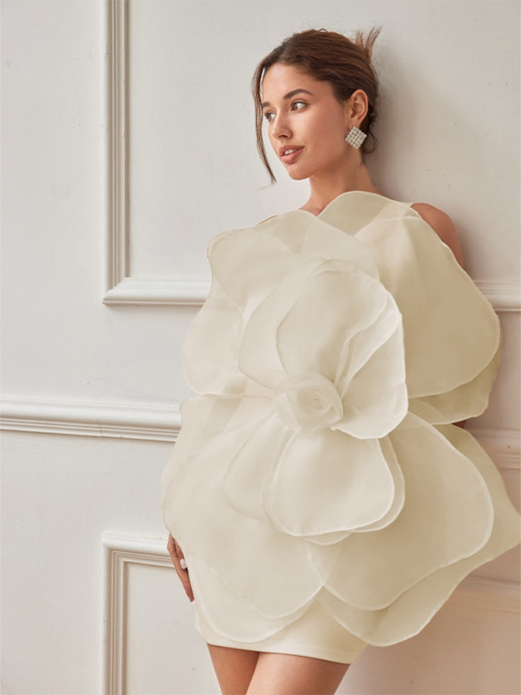 Classic Designed Dress