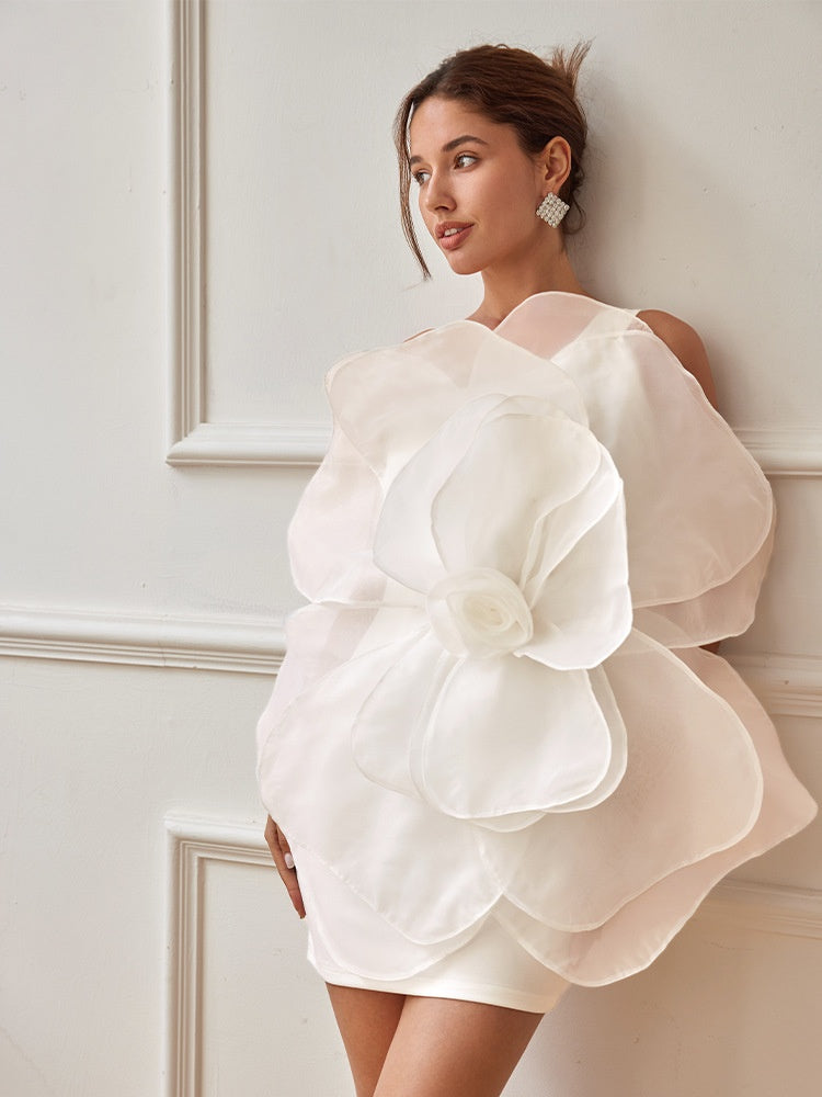 Classic Designed Dress