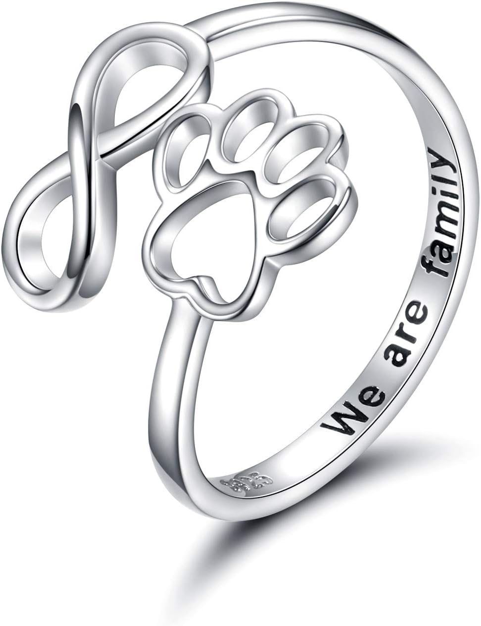 Silver Infinity