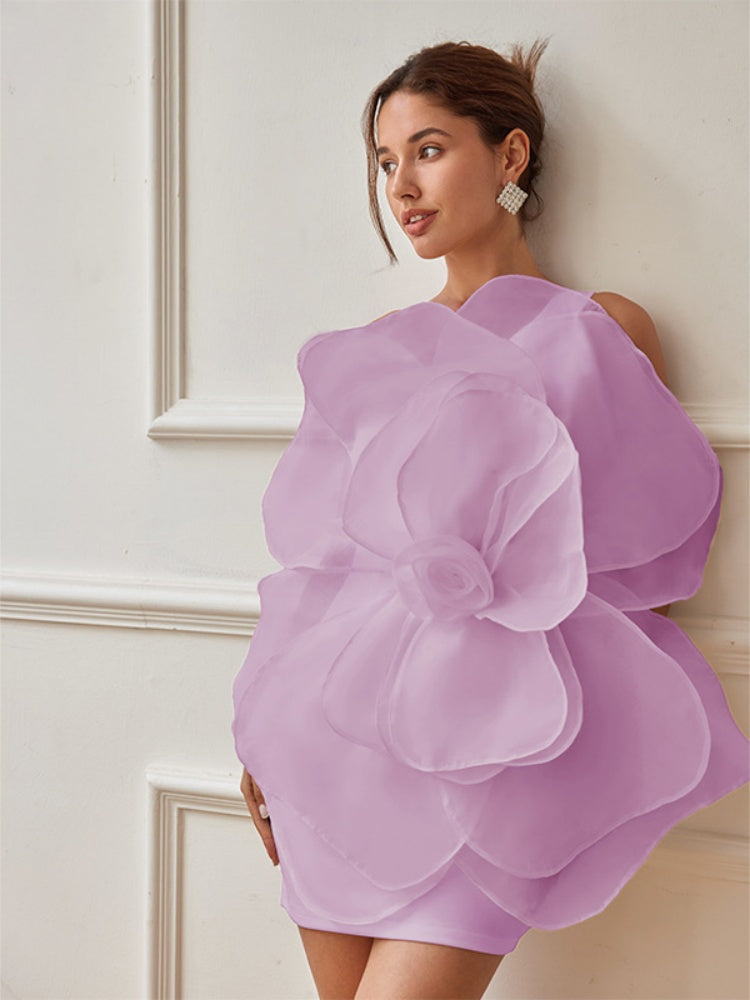 Classic Designed Dress