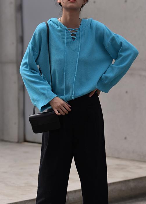 Aesthetic Blue Sweater Blouse Hooded Drawstring Knitwear