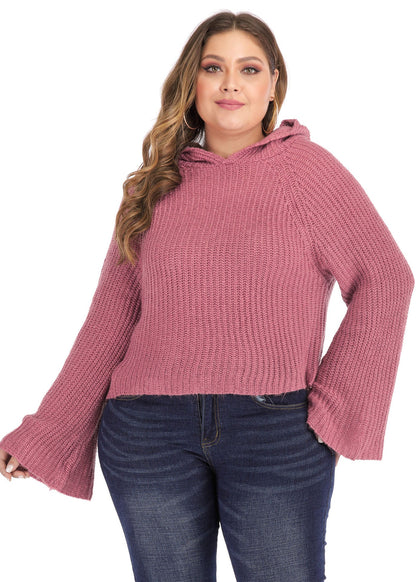 Art Red Hooded Knit Sweater Long Sleeve
