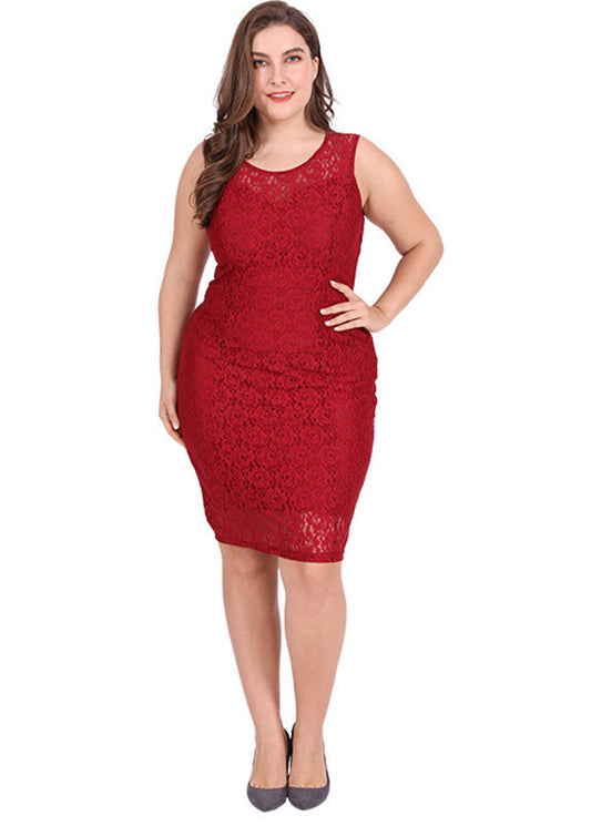 Novelty Mulberry O-neck Lace Mid Dresses Summer