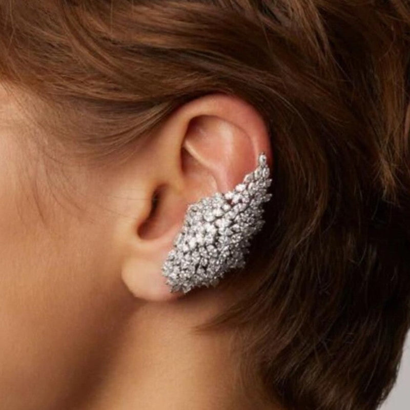 Stunning Earring For Daily Wear