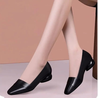 Ortopedice Pantofi elegante și de susținere