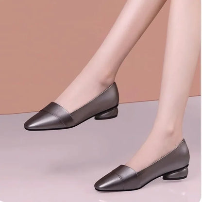 Ortopedice Pantofi elegante și de susținere