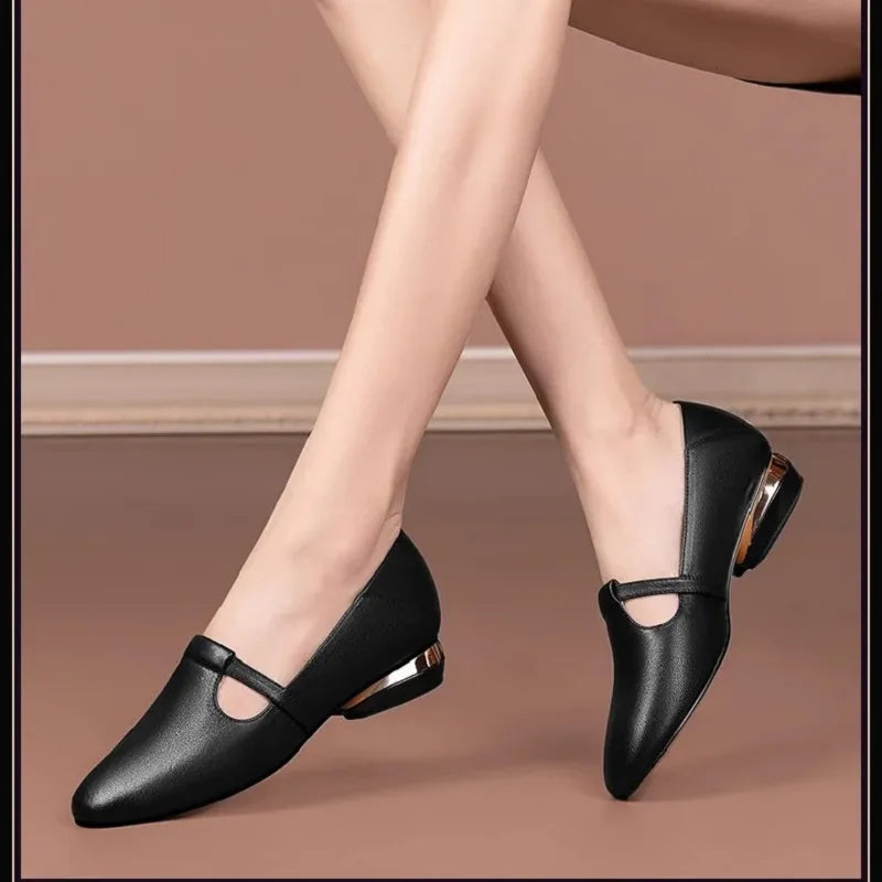 Ortopedice Pantofi elegante și de susținere