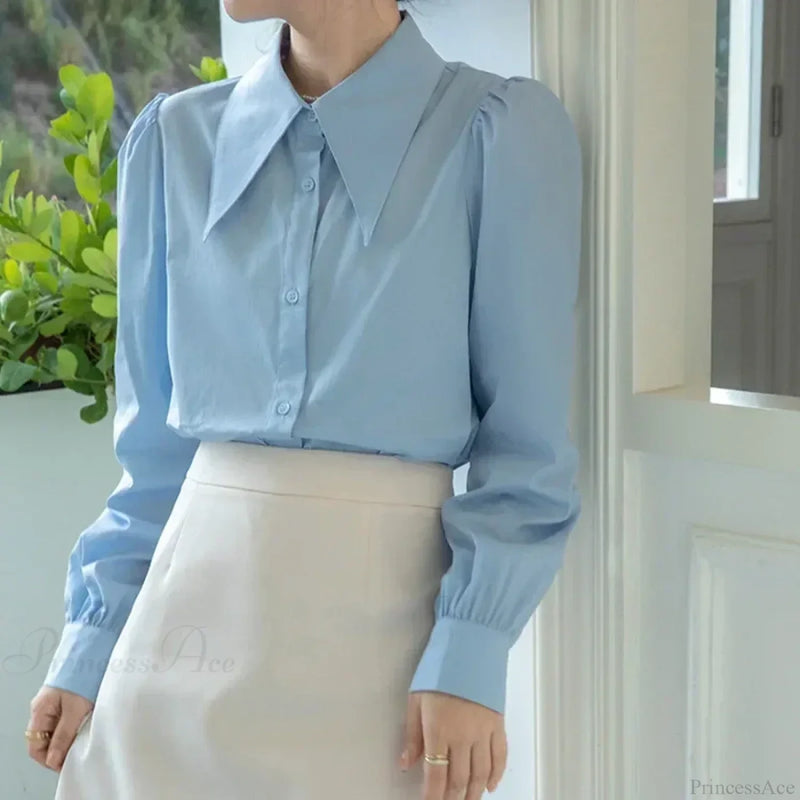 Gracefully Designed Blouse