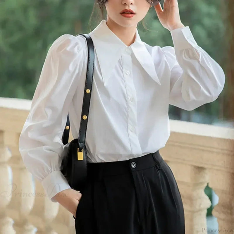 Gracefully Designed Blouse