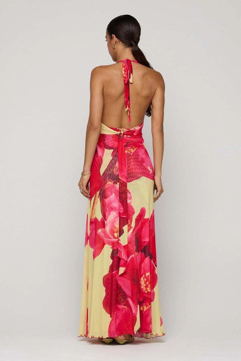Elegantly Designed Dress