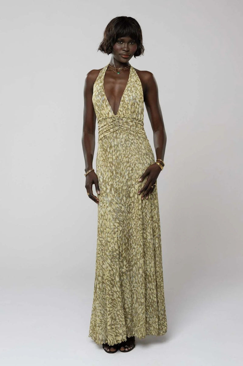 Elegantly Designed Dress