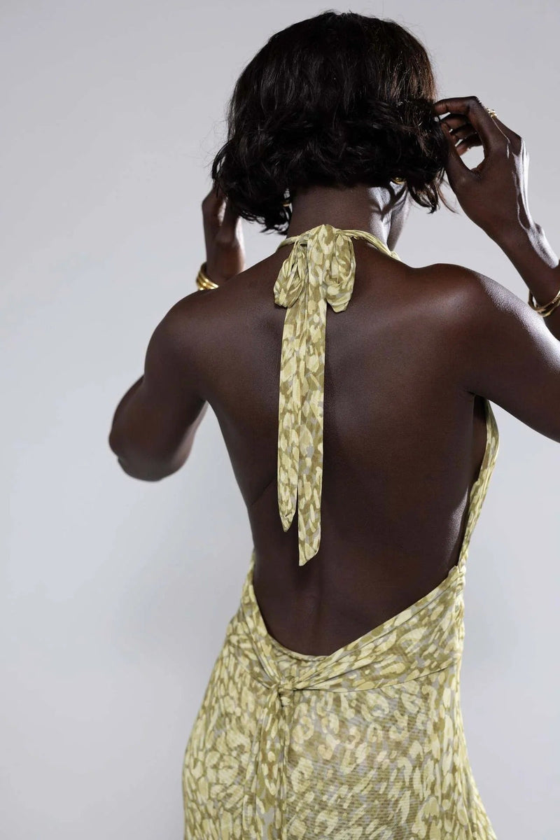 Elegantly Designed Dress