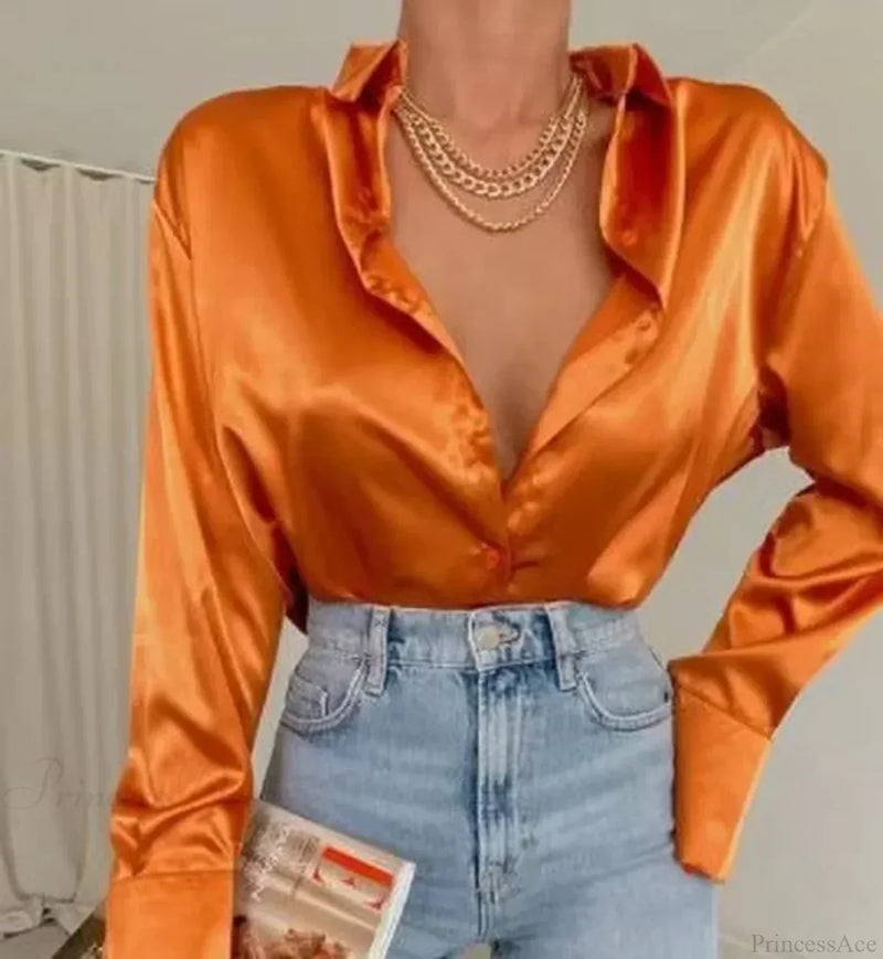 Elegantly Designed Blouse