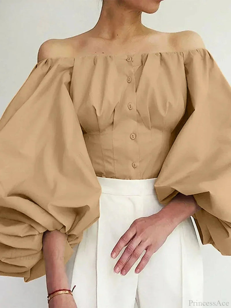 Gracefully Designed Blouse